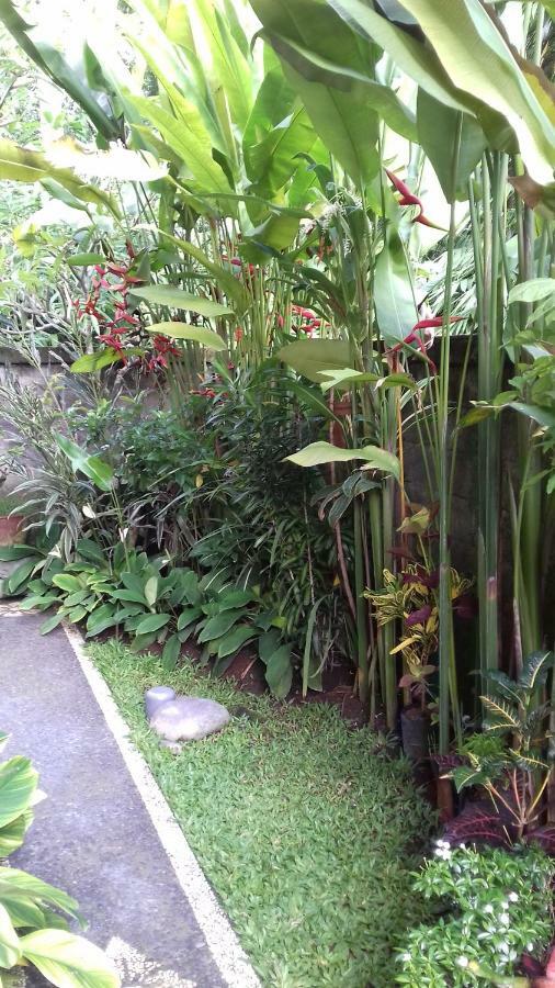 Taman Puspa Ubud  Ngoại thất bức ảnh